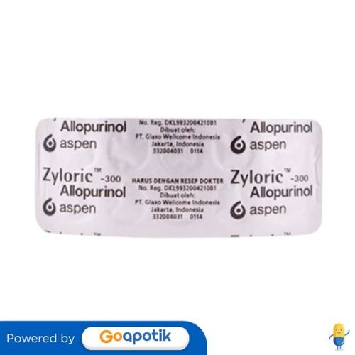 Zyloric 300 Mg Blister 10 Tablet