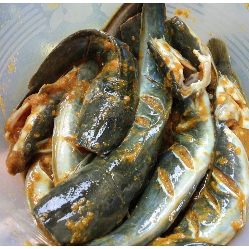 

New lele bersih bumbu kuning frozen / ikan frosen / rempah asli tanpa pengawet msgPremium