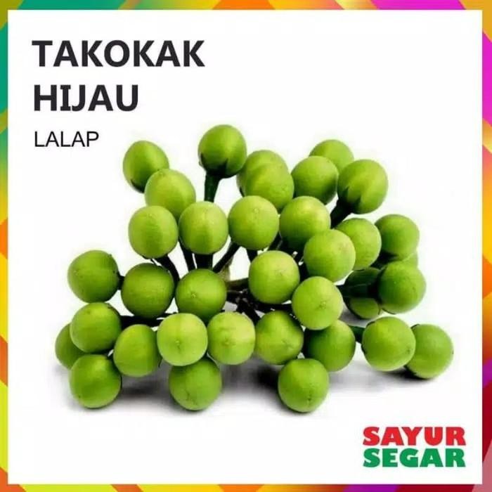 

ready stok sayuran cepokan atau takokak tekokak segar fresh 500gr