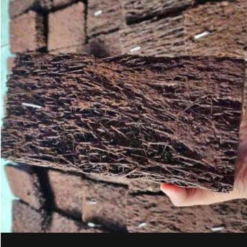 (10PCS) PAPAN AKAR PAKIS/PAPAN PAKIS TANAMAN GANTUNG