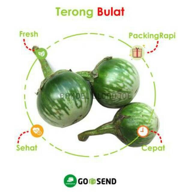 

TERONG LALAP HIJAU / UNGU BULAT SAYUR SAYURAN SEGAR 1000GR / EGGPLANT / FRESH VEGETABLES / VEGETABLE
