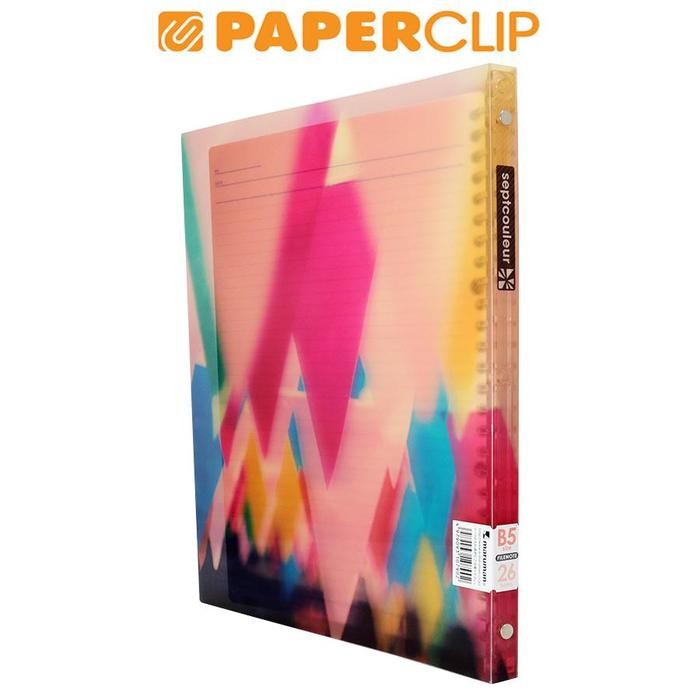 

FILE NOTE B5 MARUMAN SEPTCOULEUR F007C1 FLAG