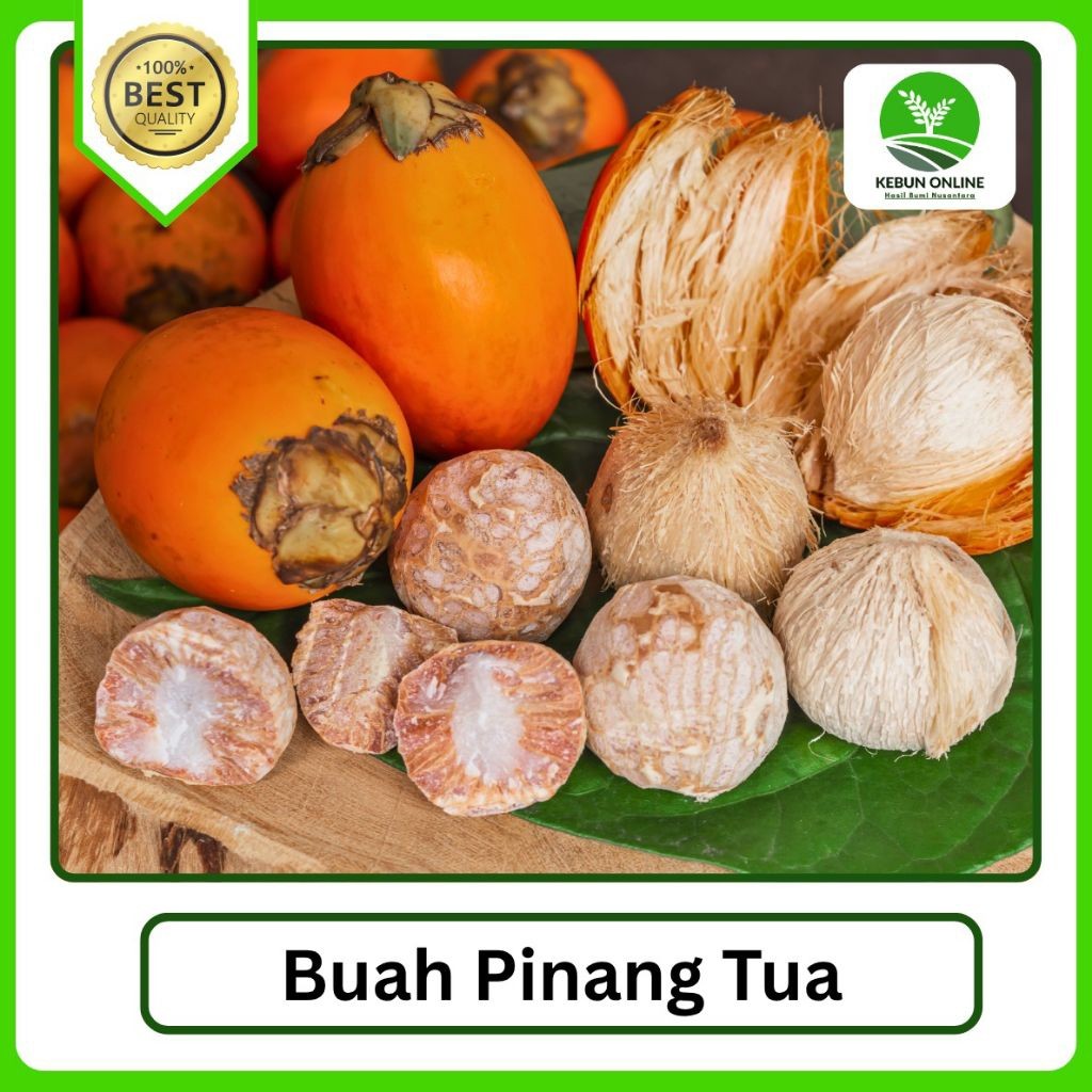 

Herbal Buah Pinang Tua/ Jambe Tua [1000g] Murah