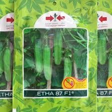 sale Benih Timun Etha 87 F1 800 Butir Cap Panah Merah