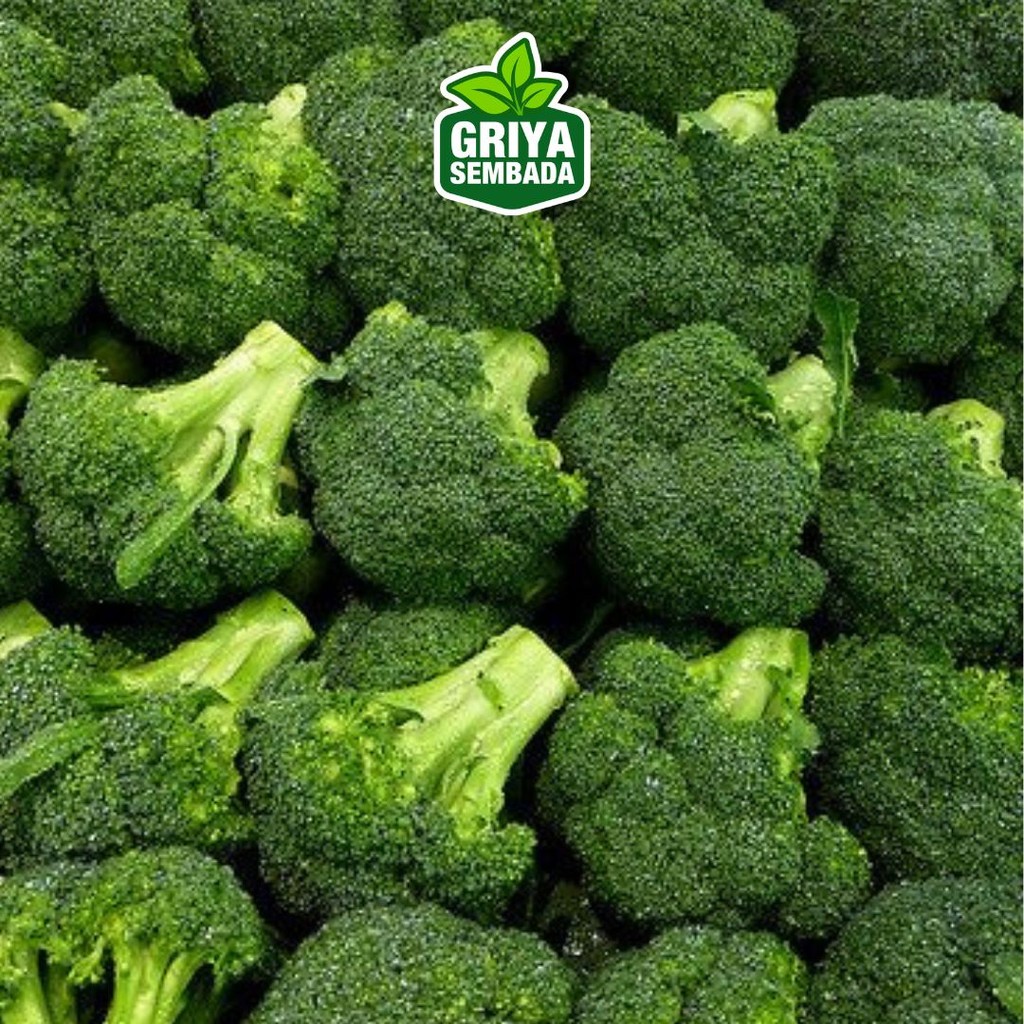 

Sayur Brokoli 200gr - Griya Sembada Kirim Instant/Sameday/Grabfood /Sameday/Grabfood