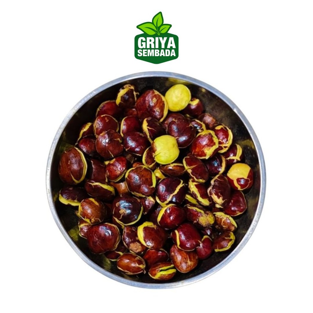 

Jengkol Tua Muda Segar Jengkol Fresh | 250 Gram Kirim Instant /Sameday/Grabfood