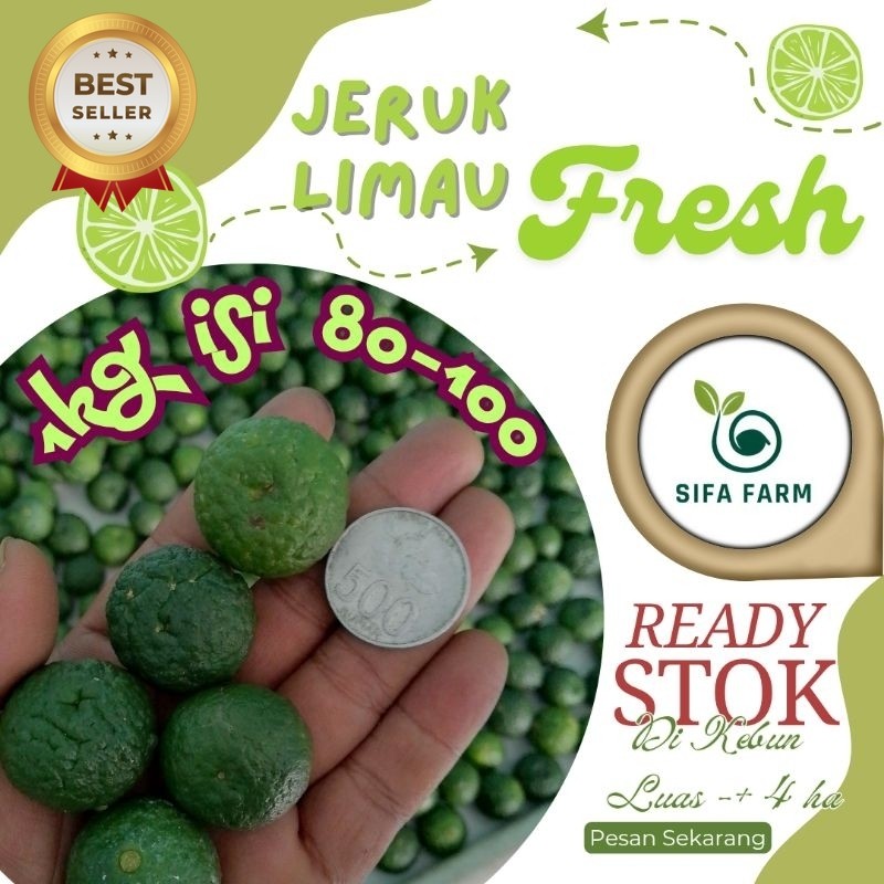 

Sifa Farm Jeruk Limau/limo/sambal/pecel ukuran sedang koin 500 berat 1kg isi 80-100