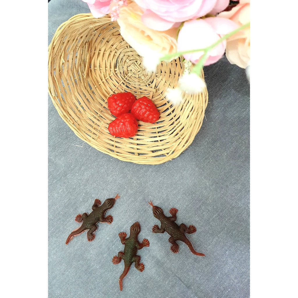 BPP R-MNN Mainan prank cicak karet