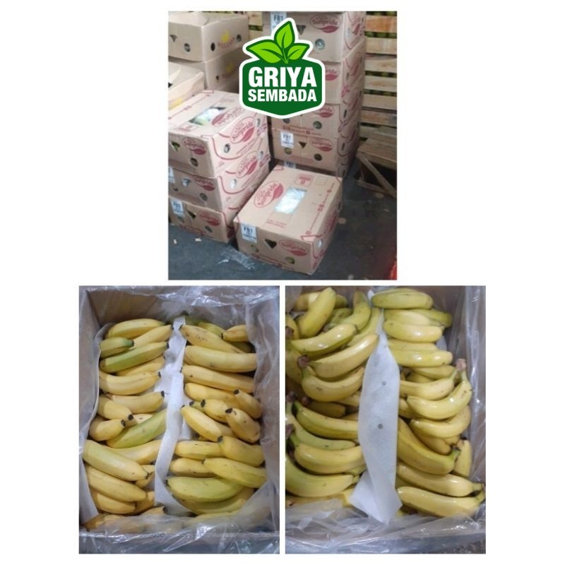 

Pisang Sunpride Sanpres Cavendish Pisang Catering 1 Dus 13 kg Griya Sembada