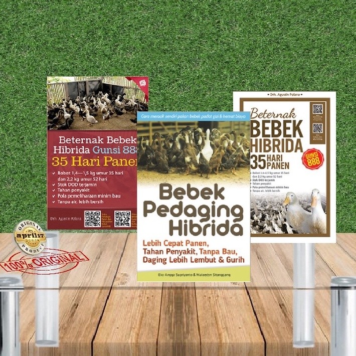 BUKU BEBEK PEDAGING HIBRIDA / BERTERNAK BEBEK HIBRIDA GUNSI 888 : 35 HARI PANEN / BETERNAK BEBEK HIB