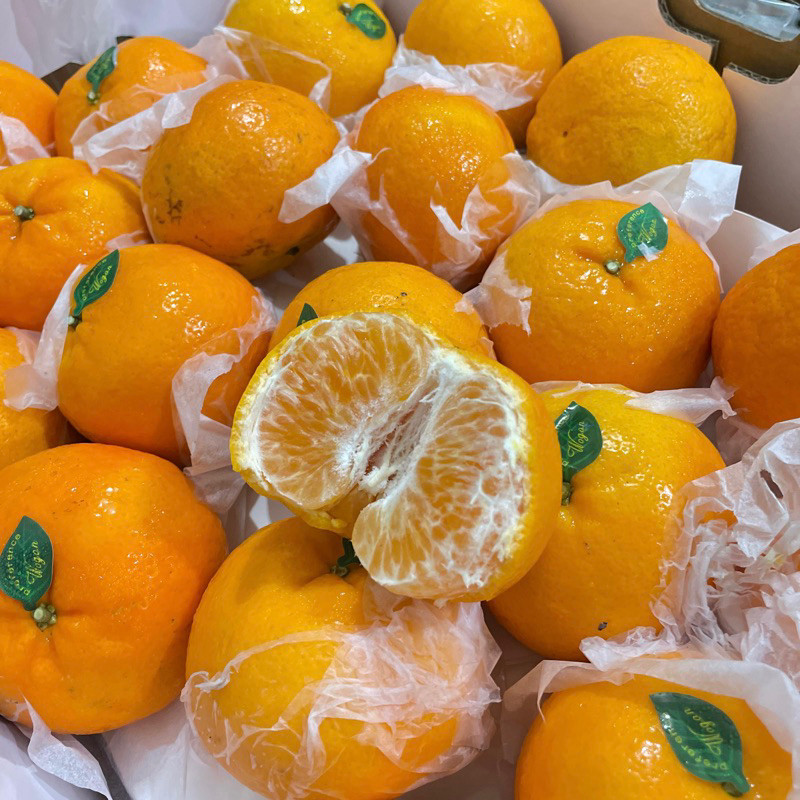 

Jeruk Wogan/Wokam Mandarin Manis Segar 1kg