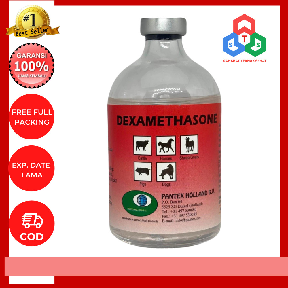 Dexamethasone (Pantex Holland) - Obat Hewan Ternak