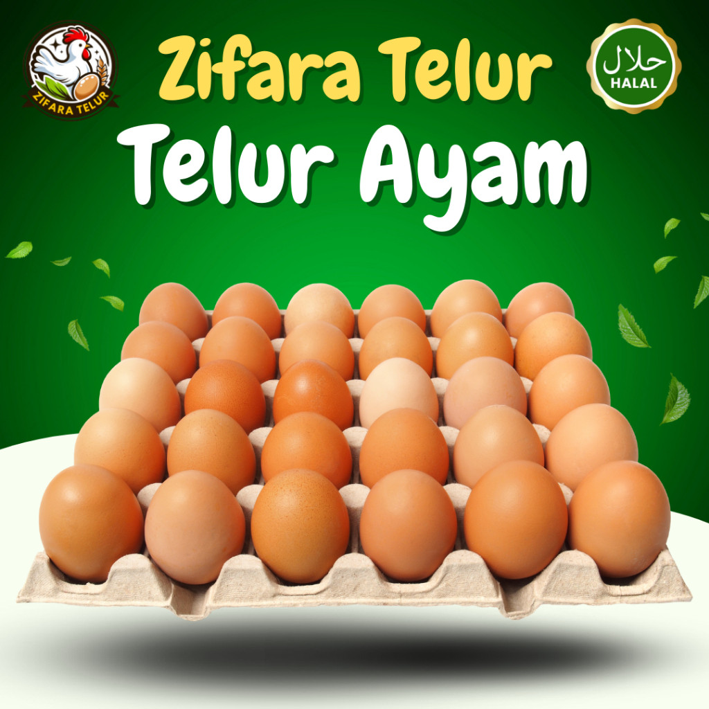 

Zifara Telur - 1 Tray Telur Ayam Negeri isi 30 Butir PREMIUM