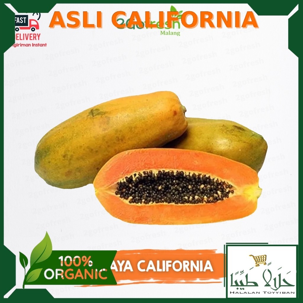 

Termurah Buah Pepaya California Fresh - Rempah Sayur Sayuran & Buah Buahan