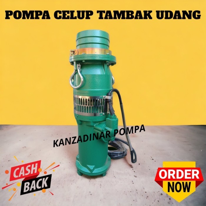 Pompa Air Ikan Koi Pompa Celup Tambak Udang Pompa Submersible 2inch