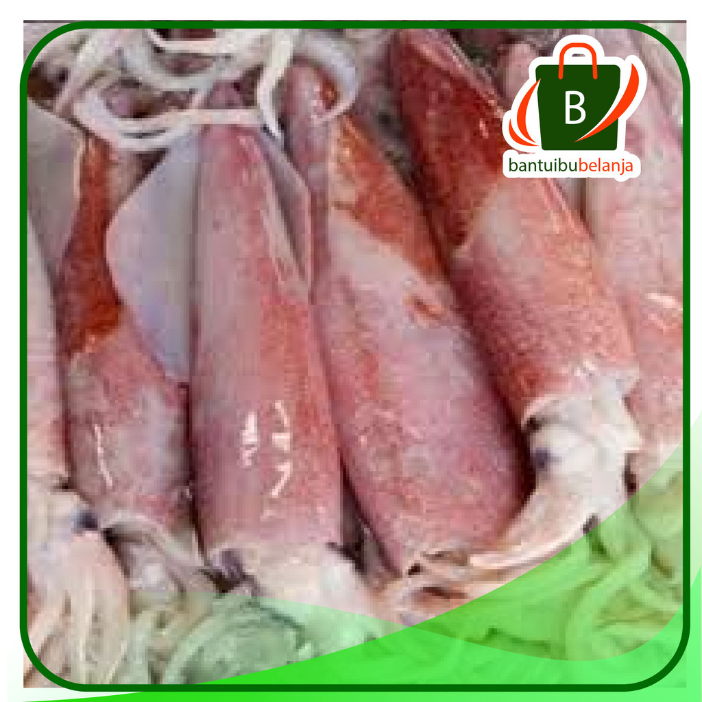 

CUMI-CUMI BESAR SEGAR Per 250 gram