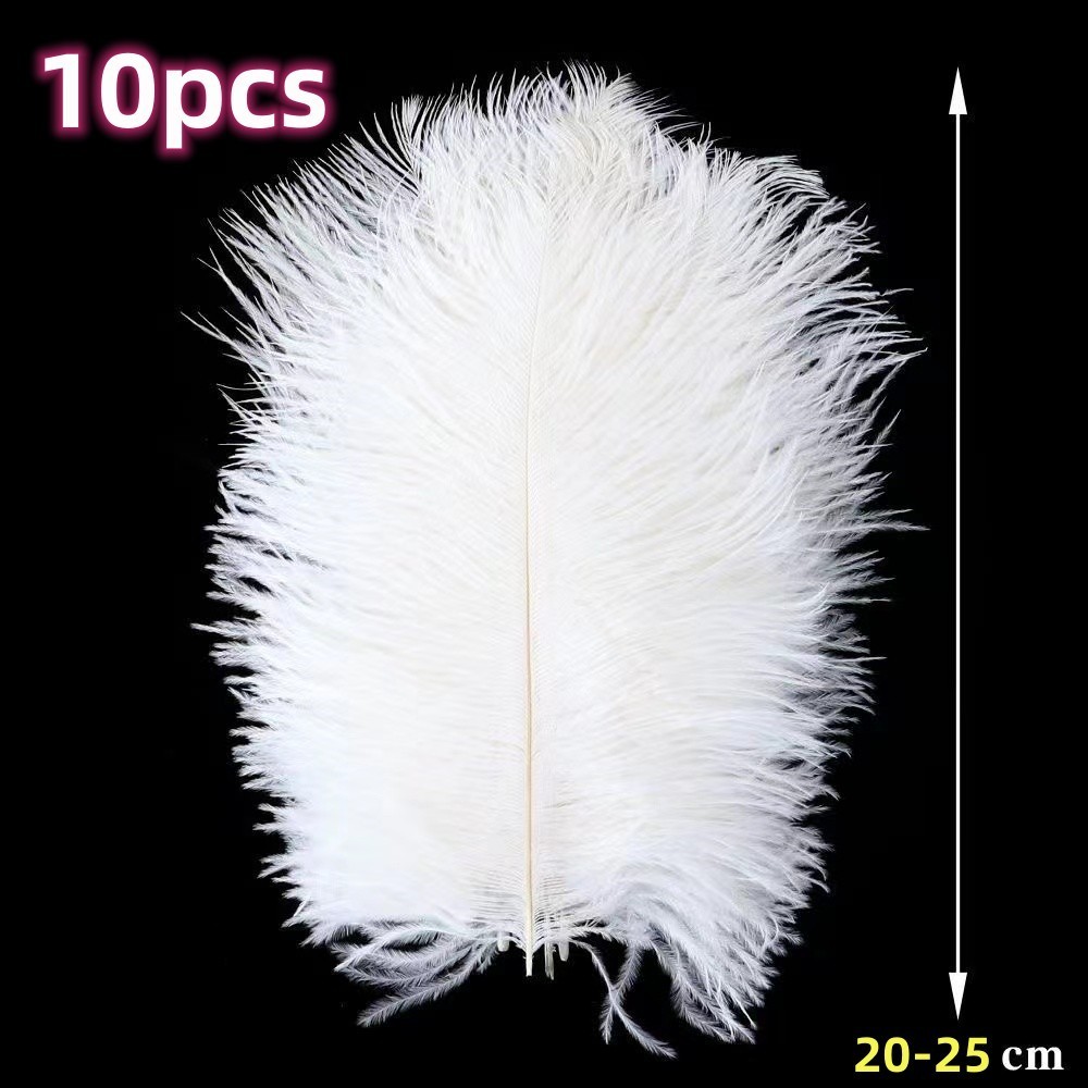 10pcs 100% bulu burung ostrich asli Bulu Ostrich White Premium 20-25cm Bulu Dekorasi