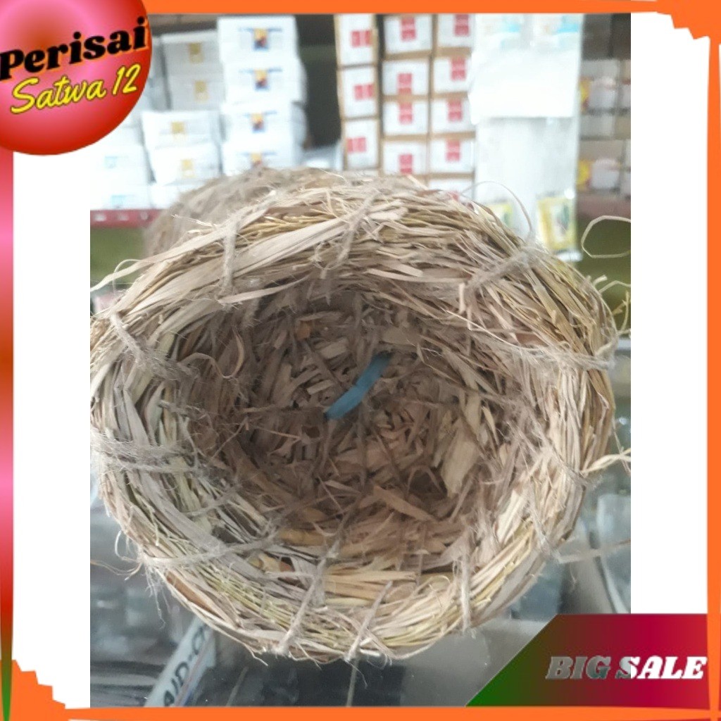 SARANG BURUNG KENARI TEMPAT BERTELUR BURUNG KENARI DAN SEJENISNYA SARANG KENARI