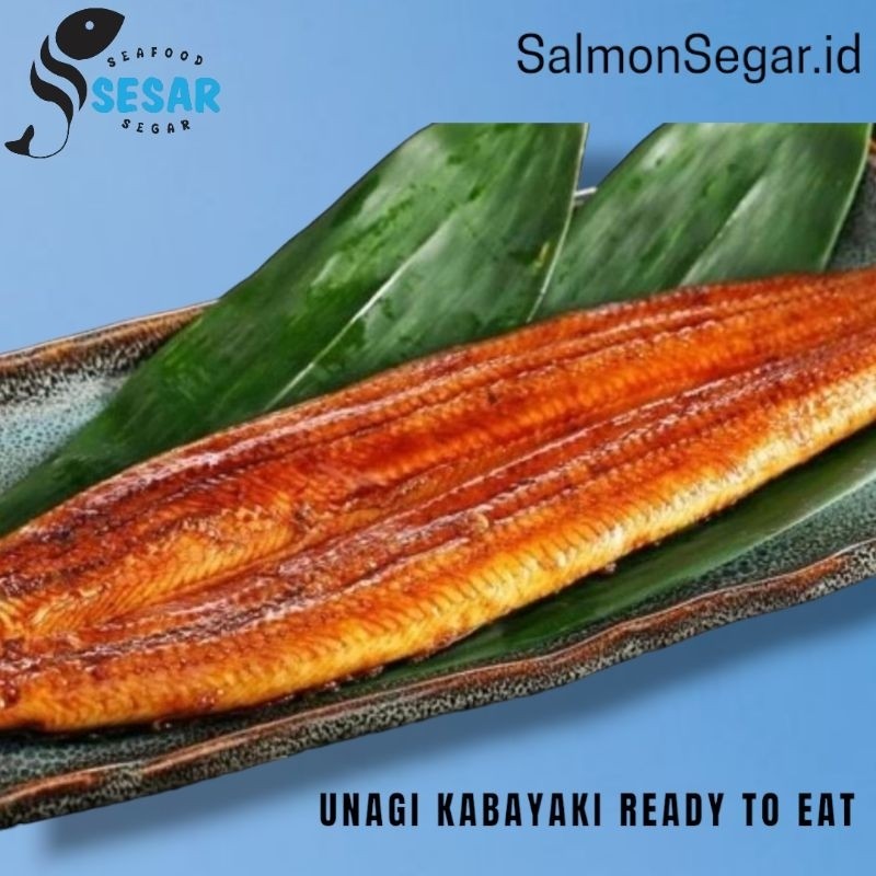 

Unagi Kabayaki Premium - Unagi Jepang Ready to Eat
