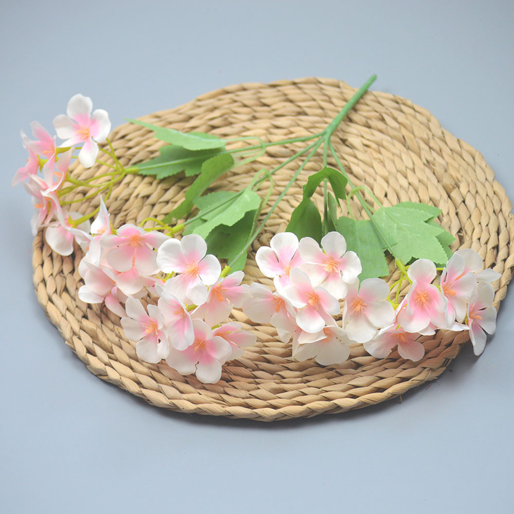 Bunga Hortensia Pancawarna