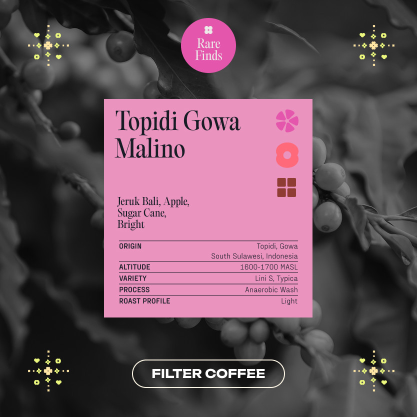 

KORO ROASTERS Arabica Topidi Gowa Malino Anaerobic Wash Biji Kopi - Single Origin Specialty Coffee