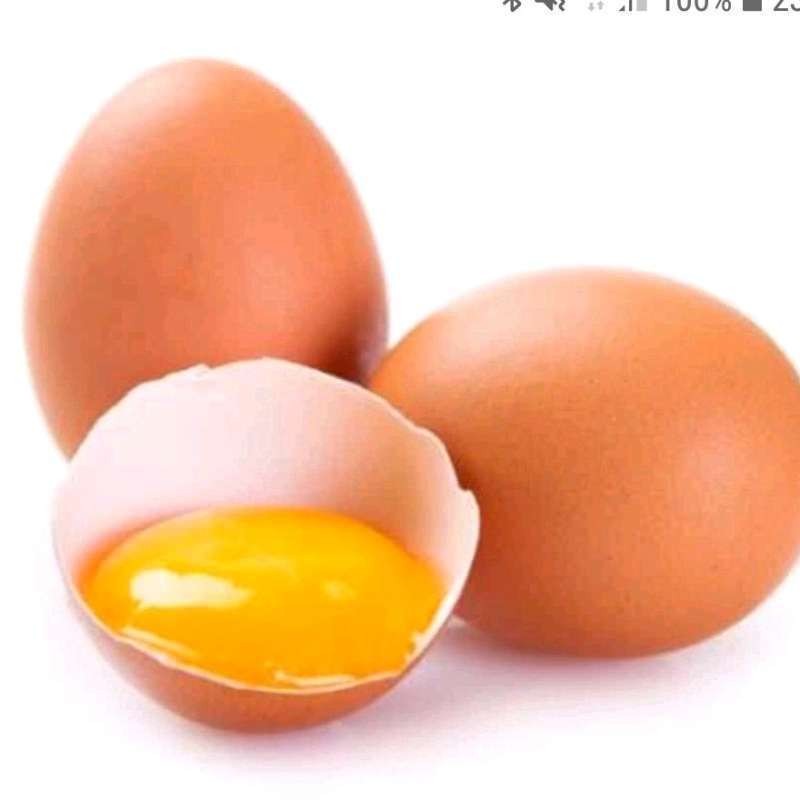 

Telur Ayam Negeri 1kg