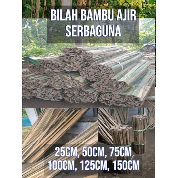 

. Bambu Bilah / Pring Lanjaran / Bambu Turus Ajir Serbaguna Berbagai Ukuran 25cm 50cm 75cm 100cm 125cm 150cm / Ajir Turus Penyangga Tanaman - 25cm