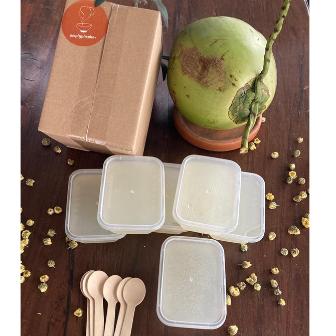 

Coco Chrysant (Isi 6)