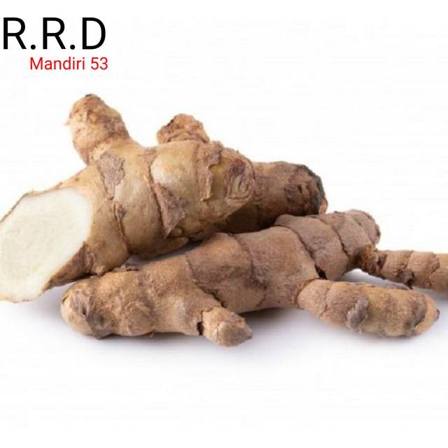 

PROMO Kunyit putih 250 gram basah segar temu kunir/ currcuma zedoria siap ambil