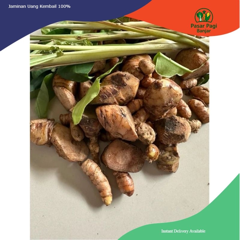 

Empon - Empon Paket Bumbu Rempah Dapur Lengkap