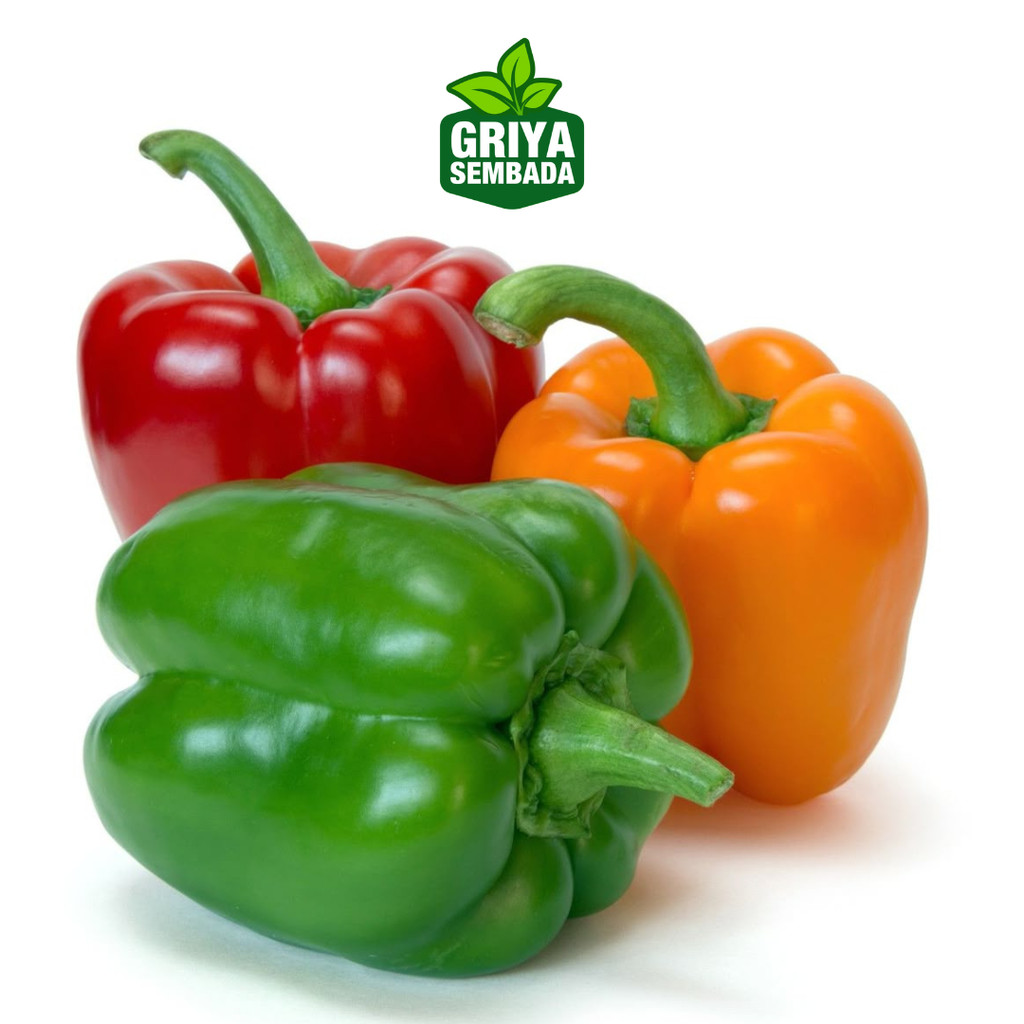 

INSTAN - PAPRIKA MERAH / PAPRIKA KUNING / PAPRIKA HIJAU 1BUAH +/- 200GRAM - FRESH BERKUALITAS