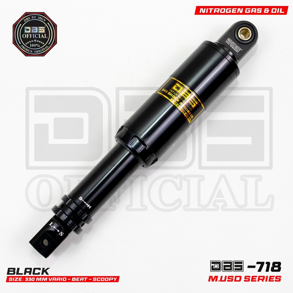 DBS 718 USD SERIES Vario 125 Vario 150 Vario 160 X Ride 330MM