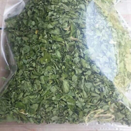 

daun kelor kering - obat herbal alami berjuta khasiat