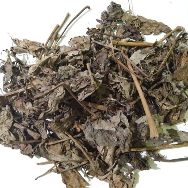 

Daun Sirih Kering 1kg - Daun Sirih Hijau Kering