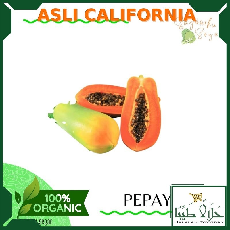

Termurah Pepaya California