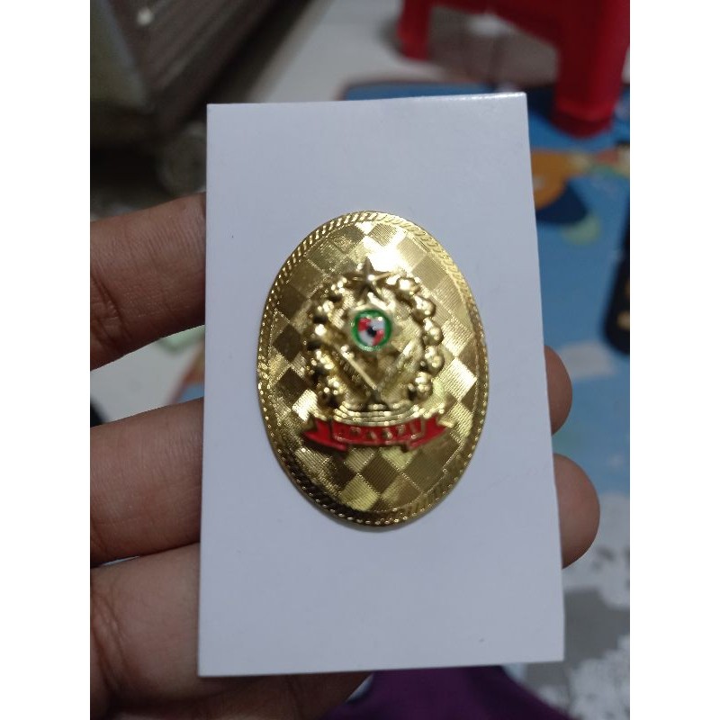 Pin Ipaspi Model Ovale Magnet