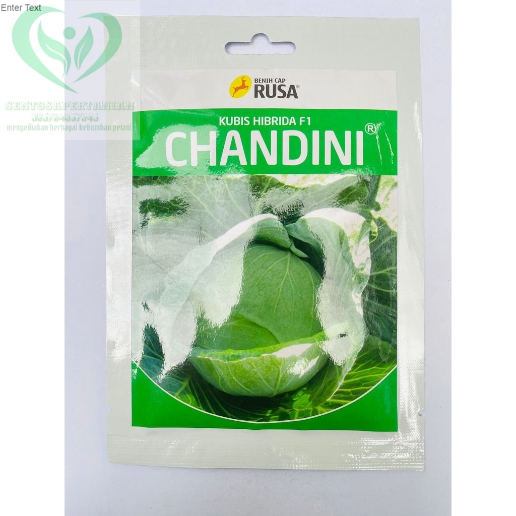 PRODUK TERLARIS Benih kubis hibrida F1 CHANDINI isi 25gram dari CAP RUSA