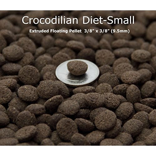 Mr Zulife Crocodilian Diet SMALL Pakan TEGU AST CST FST Crocodile Skink