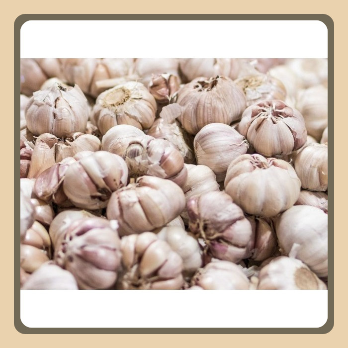 

bawang putih segar kating 1kg