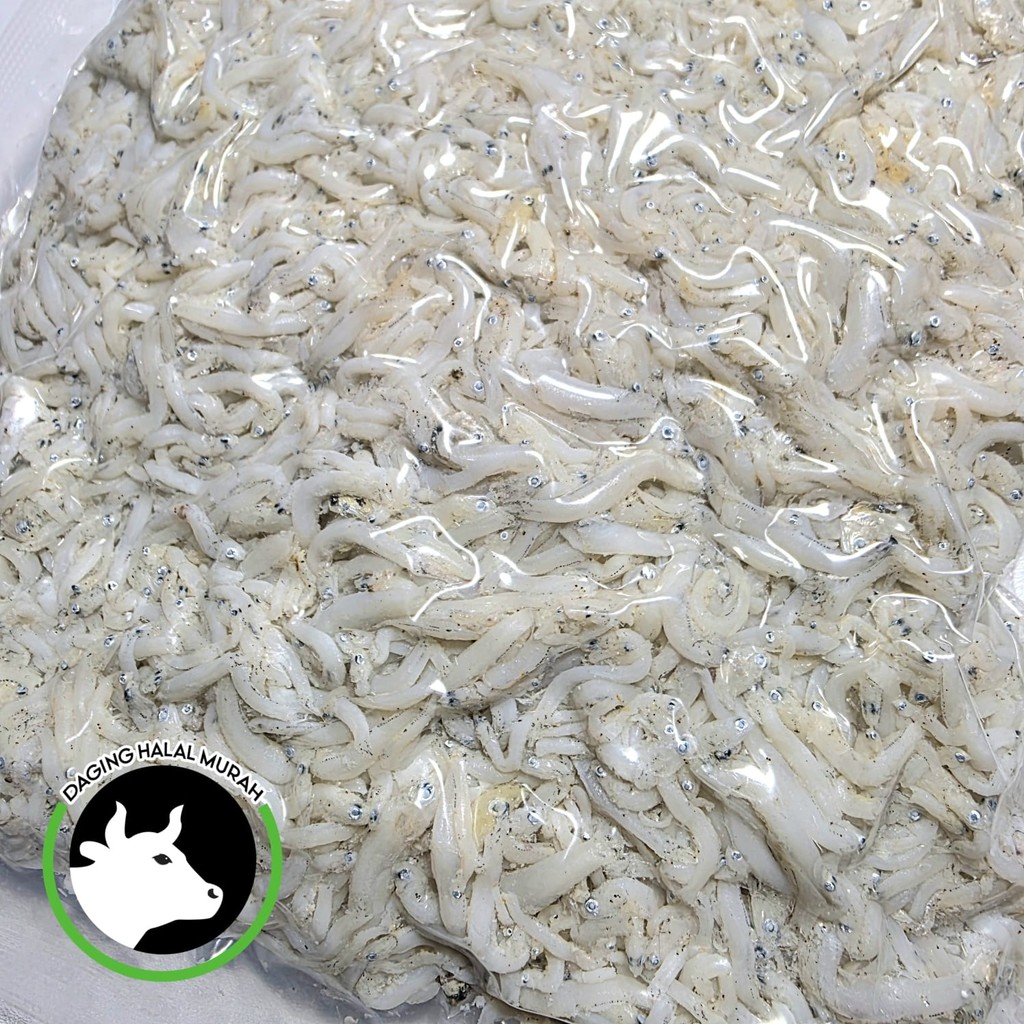 

Ikan Asin Teri Nasi Medan Super Ikan Teri Medan Putih 500gr