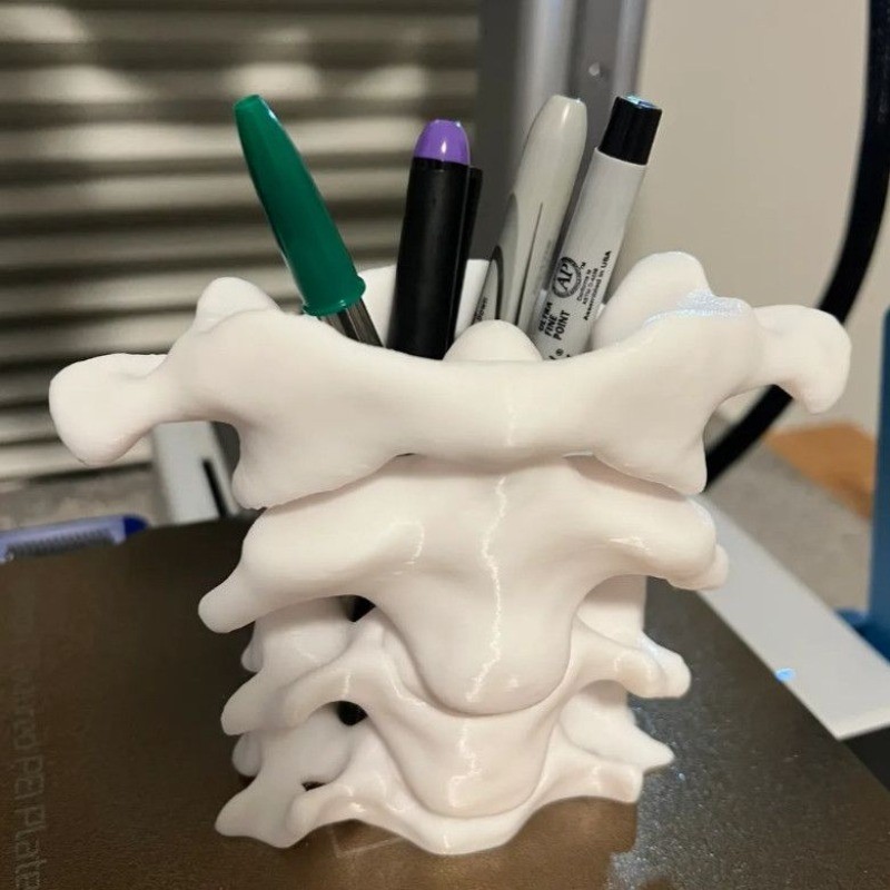 

Simulation Spine Pen Holder Brush Holder Spine Pencil Holder Medical Student Gift 3D Vase Storage Box Office Desktop Organiser