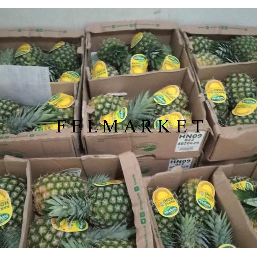 

Buah Nanas Honi Sunpride Manis / Nanas Honi Super 13 Kg / Dus