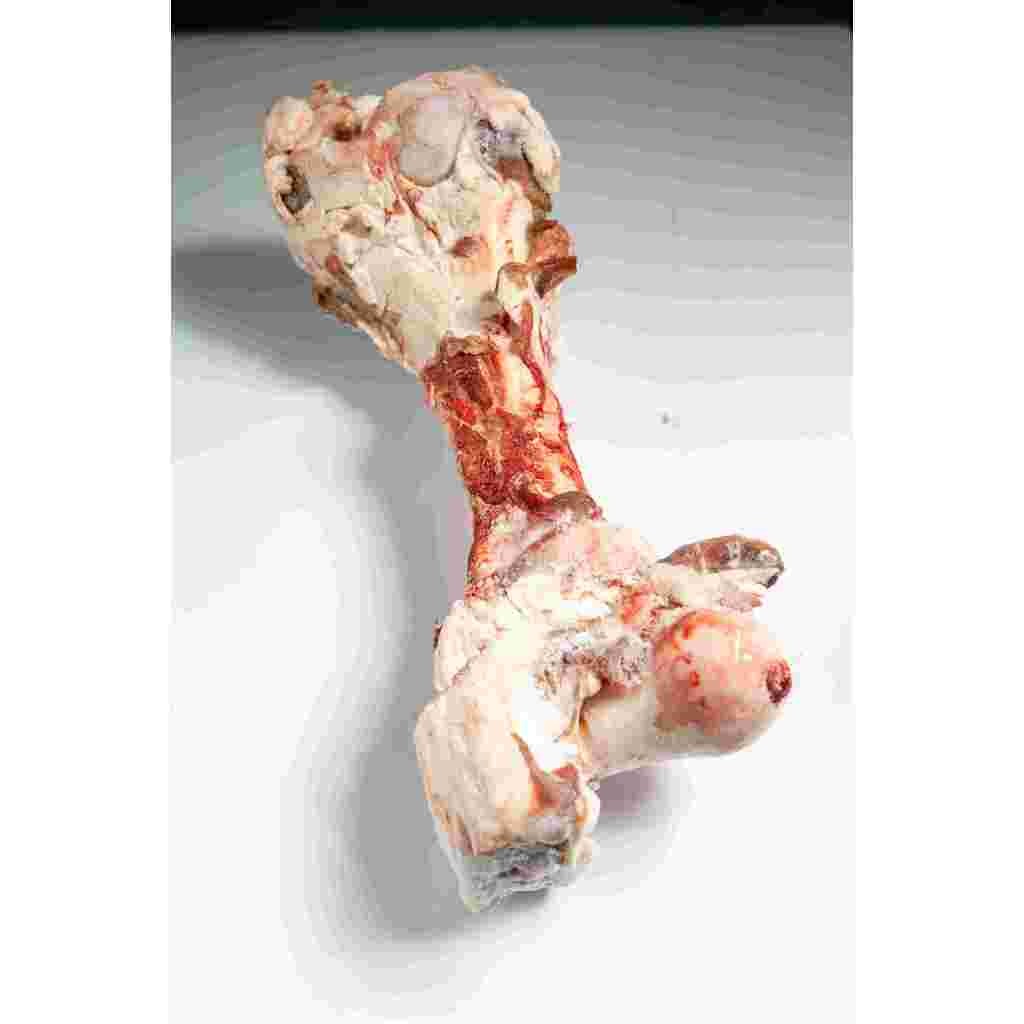 

LEGBONE SAPI 3.5 KG/TULANG PAHA SAPI/TULANG SUMSUM/KALDU SAPI/DAGING SAPI