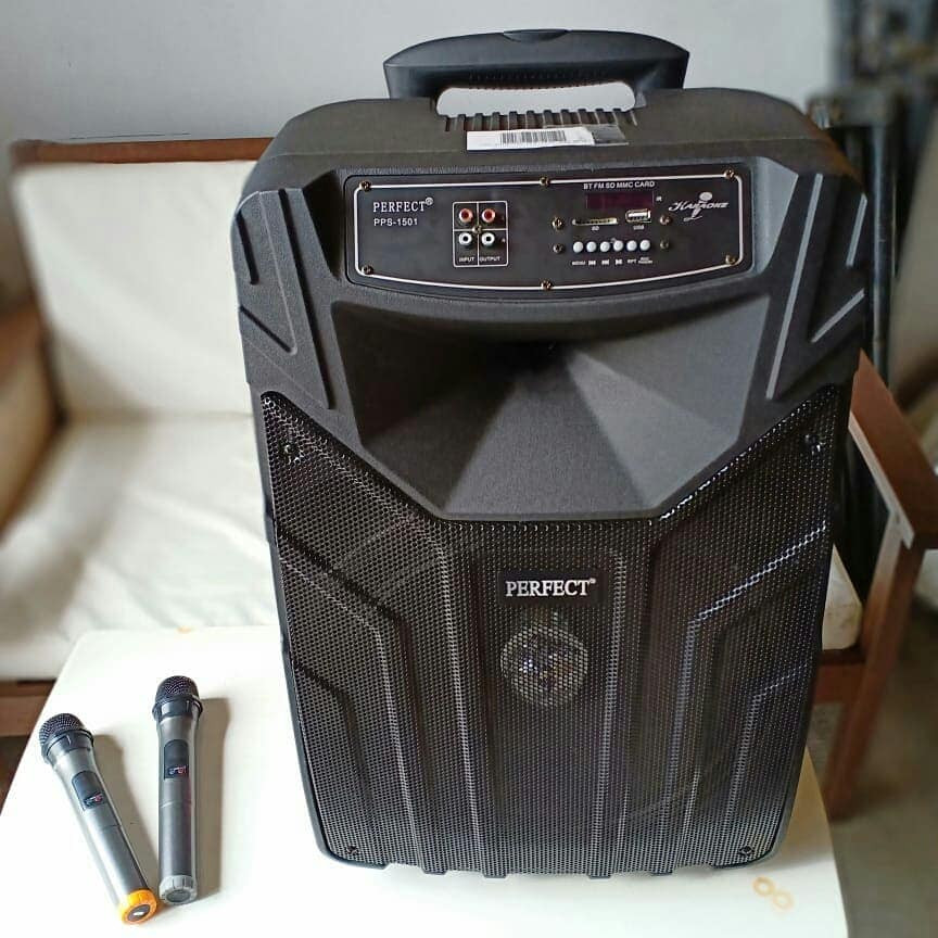 Speaker portable PERFECT 15 Inch 1501