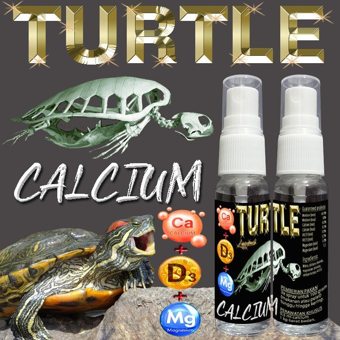 TURTLE CALCIUM LIQUID +D3 KALSIUM CAIR SUPLEMEN KESEHATAN TULANG KURA-KURA AIR AMBON BRAZIL RES CST 