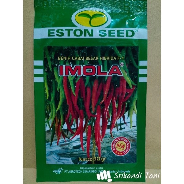 Cabe Besar Imola New F1 Cabe Besar Hibrida New Imola Buah Lebat Kemasan 10gr Original Pabrik