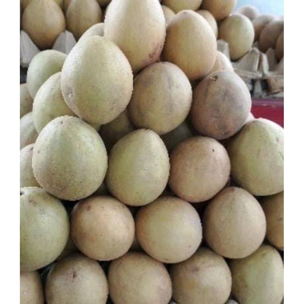 

Buah Sawo Madu Manis 1 Kg – Langsung dari Petani