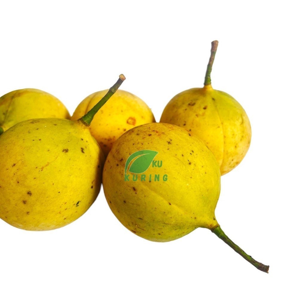

HalimunHerbal Buah pala Segar Utuh 1Kg