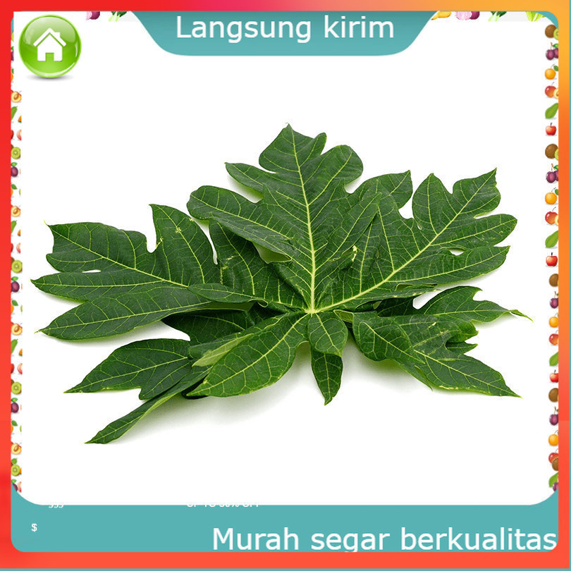

Sayur Daun Pepaya Per Ikat Sayur Mayur Buah Buahan Bersih Fresh