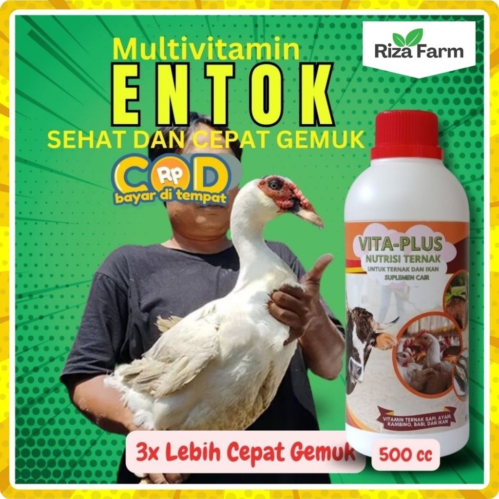 Vitamin Penggemuk Anak Entok, Vitamin Entok Cepat Besar, Vitamin Entok Cepat Bertelur Vitamin Unggas
